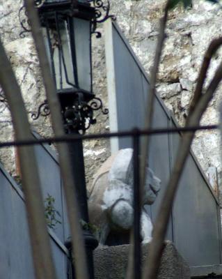 Прикрепленное изображение: DSCF6653.jpg